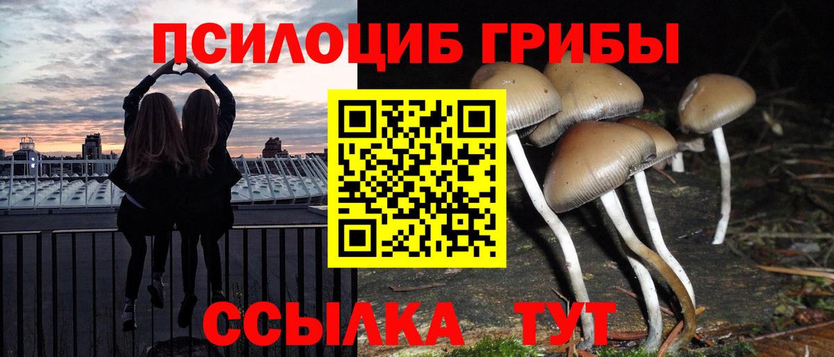 Псилоцибиновые грибы Psilocybe Жигулёвск