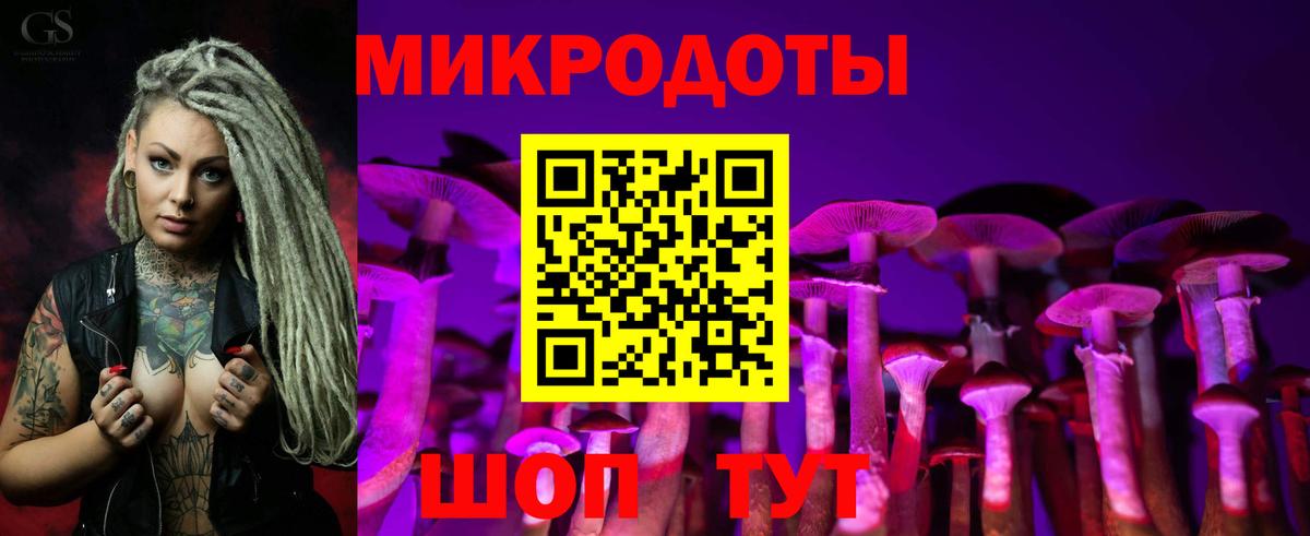 Псилоцибиновые грибы мицелий  Галлюциногенные грибы Psilocybine cubensis  Жигулёвск  Вход с VPN 